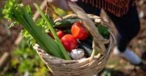 Horta em Casa: 4 Passos Simples para Montar a Sua!