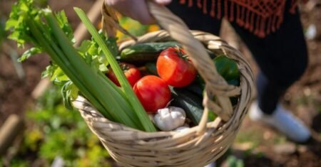 Horta em Casa: 4 Passos Simples para Montar a Sua!