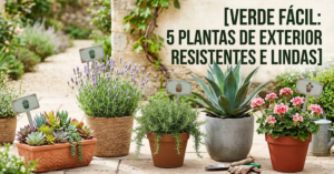 5 tipos de plantas de exterior fáceis de cuidar no dia a dia!