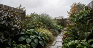 5 tipos de plantas de exterior resistentes a chuva e vento!